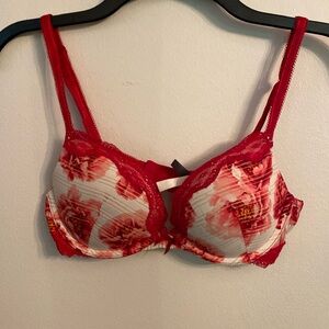 Ambrielle Ted Floral, Pushup Bra w/red lace trim Size: 34B